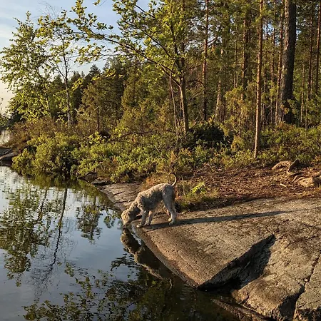 Chalet Lakehouse Juolas