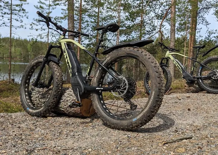 Lakehouse Juolas Шале Мянтюхарью