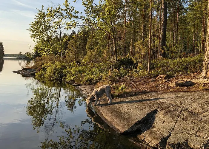 Шале Lakehouse Juolas